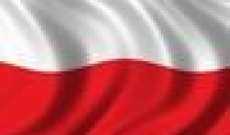 Kwalifikacje olimpijskie: Polska zagra w Budapeszcie