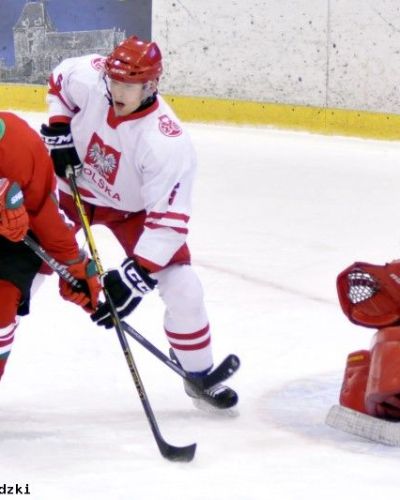 EIHC w Toruniu: Polska - Węgry 2 : 0 (7.02.2015)