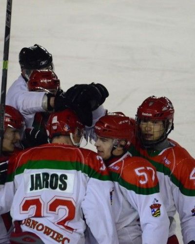 Zagłębie Sosnowiec - Polonia Bytom (13.12.2015)