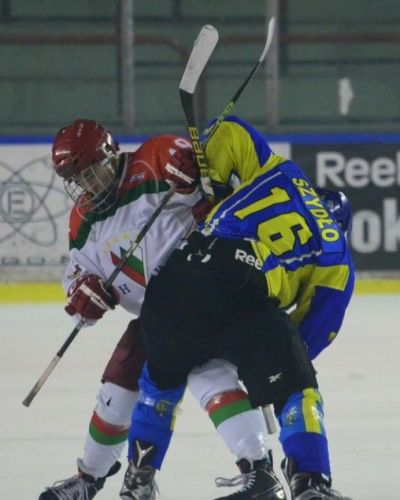 Zagłębie Sosnowiec - Orlik Opole (10.01.2016 PM)