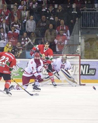 EIHC: Węgry - Polska 1:4 (10.11)