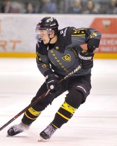 Tauron KH GKS Katowice - Wicemistrz Polski 2017/18