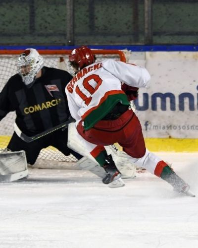 Zagłębie Sosnowiec - Comarch Cracovia 2:4 (31.01)