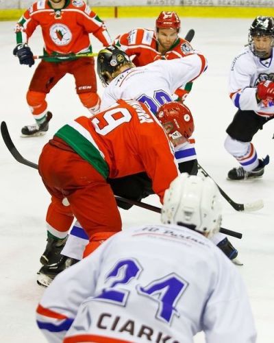 Sparing: STS Sanok - Zagłębie Sosnowiec 4-2 (14.08)