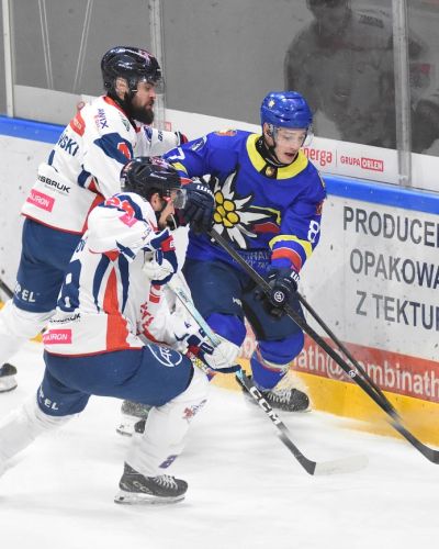 KH Energa Toruń - Podhale Nowy Targ 11:0