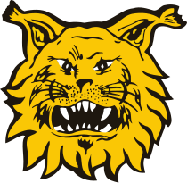 Ilves Tampere
