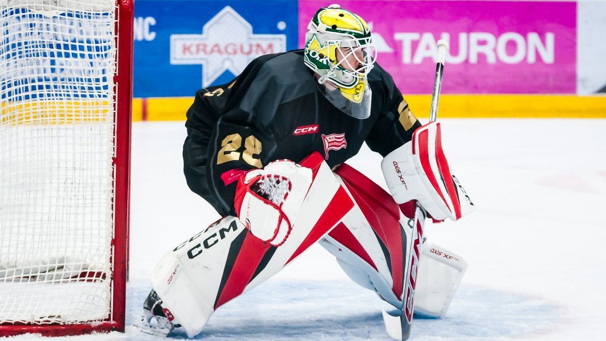 Alex D'Orio, bramkarz Comarch Cracovii (Foto: Łukasz Długosz)