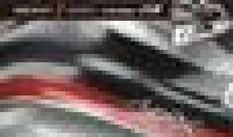 Bezpłatny Katalog hokejowy Hockeyrebel 2011