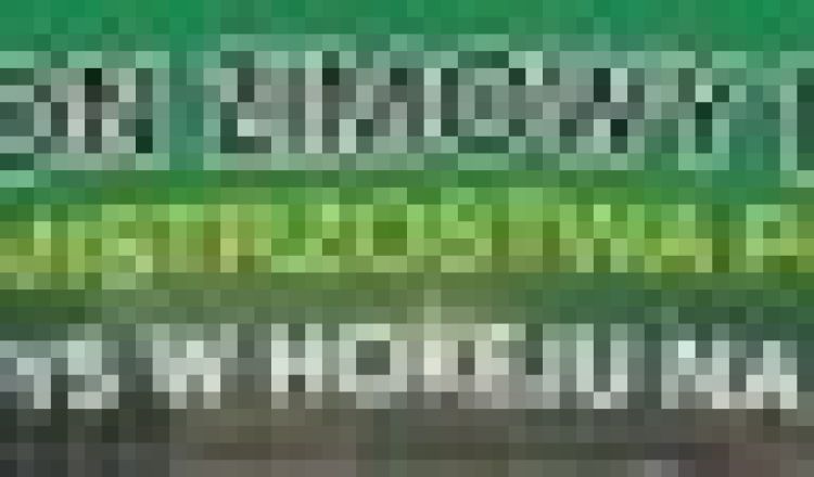 XVII Mistrzostwa Polski Oldboyów rozpoczęte