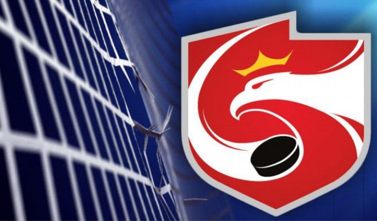Ministerstwo Sportu odbiera PZHL prawo prowadzenia kadry narodowej i szkolenia młodzieży
