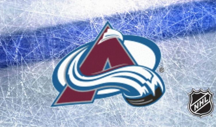NHL: Kapitan Avalanche zawieszony za rzucenie na bandę [WIDEO]
