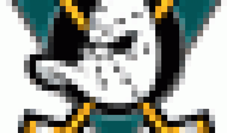 NHL sprzeda Anaheim Mighty Ducks.