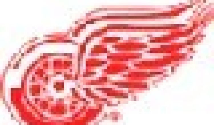 Dobry start Detroit Red Wings