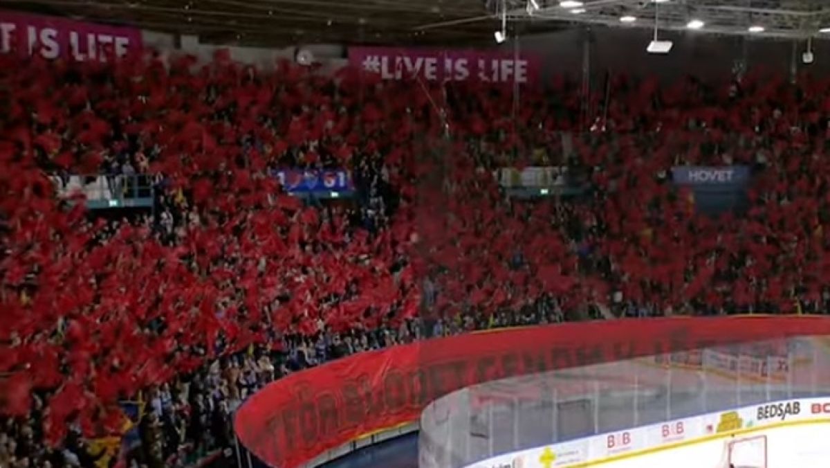 Kibice Djurgården Sztokholm