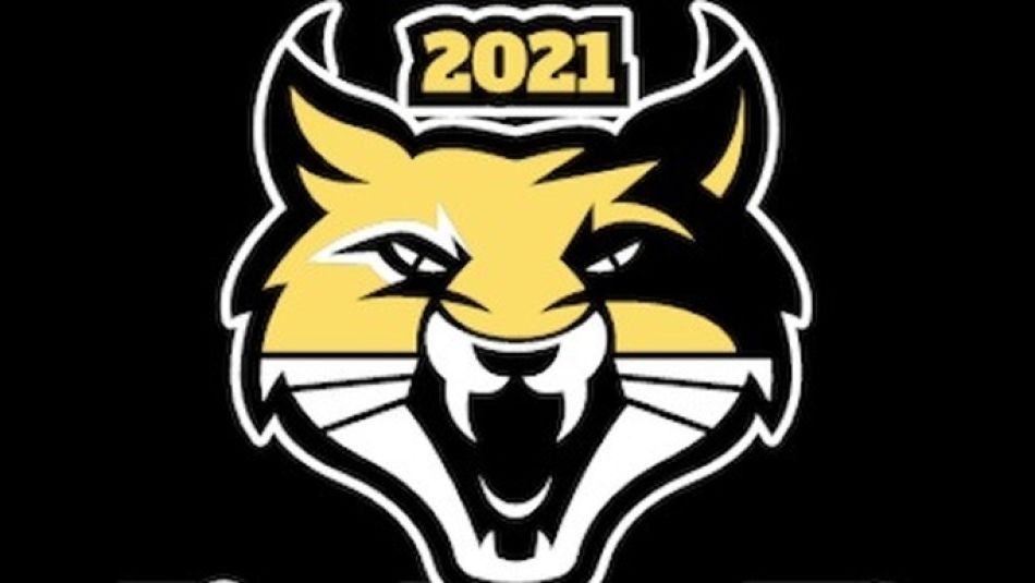 Logo szwedzkiego klubu Långshyttan HC.