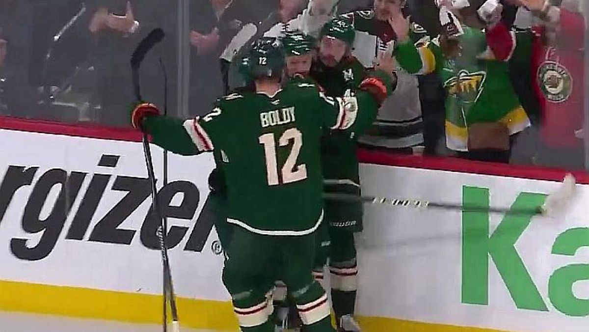 Zawodnicy Minnesota Wild