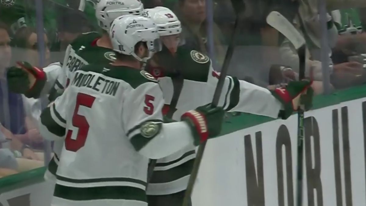 Zawodnicy Minnesota Wild