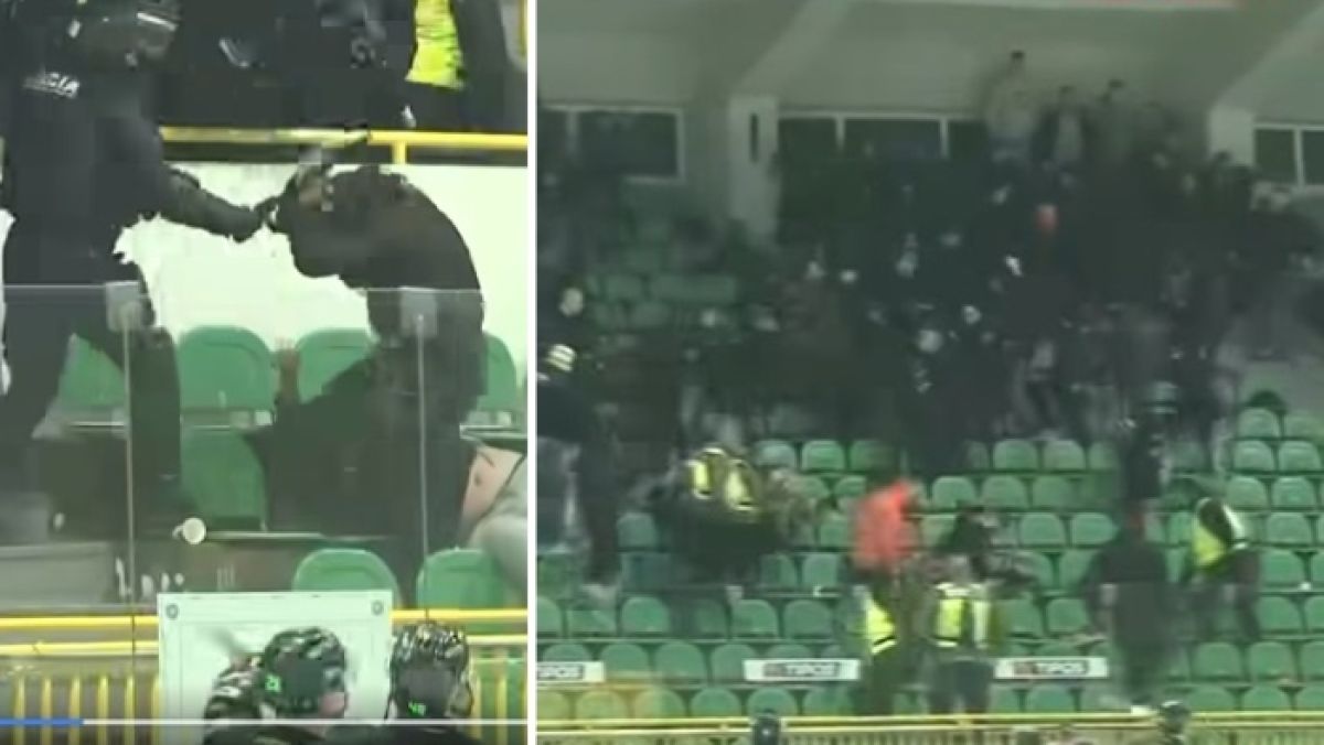 Awantura na trybunach po meczu Vlci Żylina - HK Nitra w słowackiej extralidze.